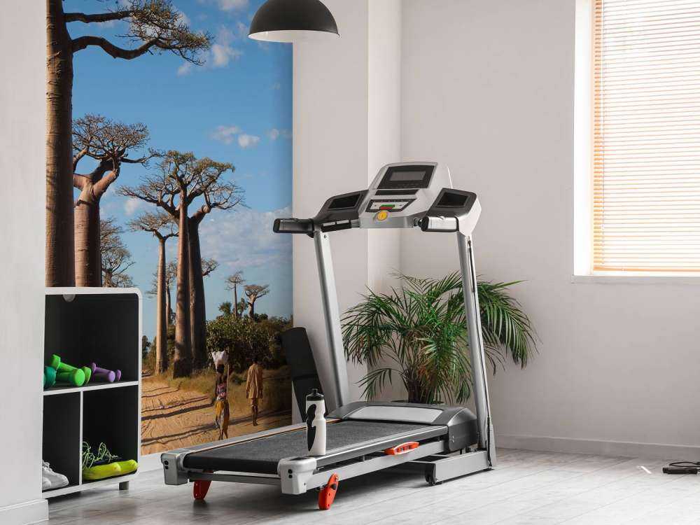 Baobab bomen