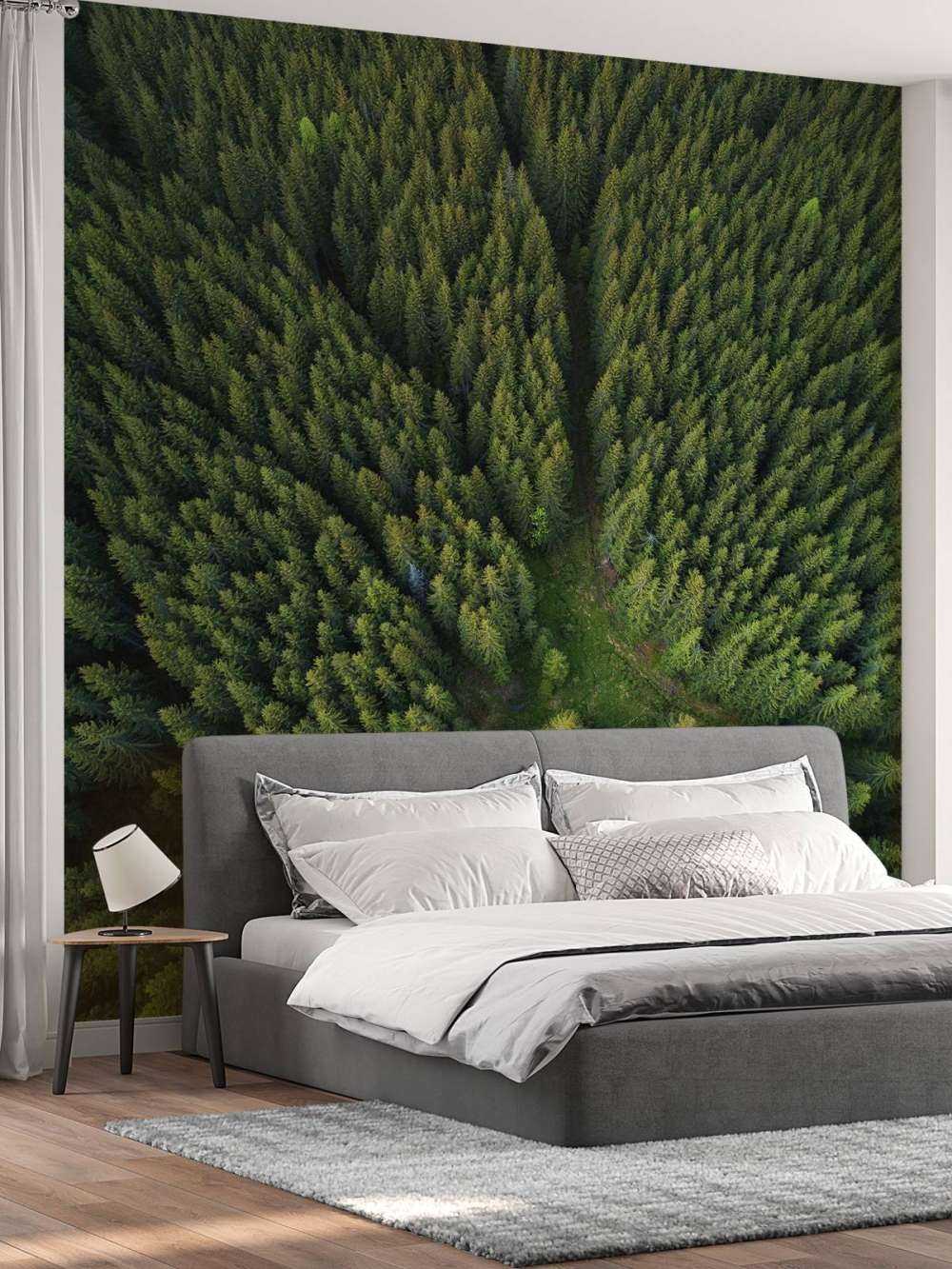 Dennenbos van bovenaf