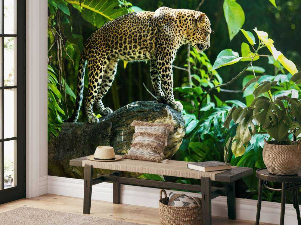 Luipaard op een rotswand