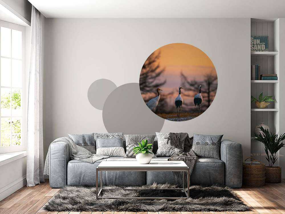 Kraanvogels bij zonsondergang