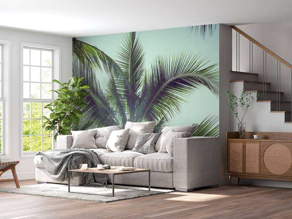 Palmbomen in de zon