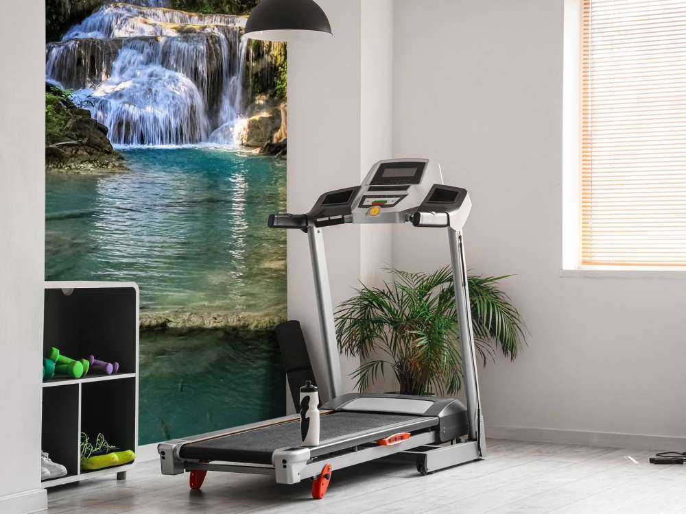 Vissen bij een waterval