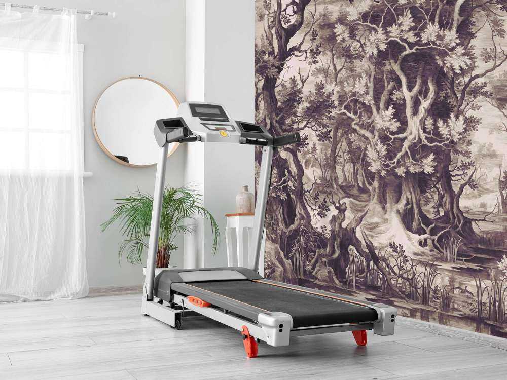 Mystical Forest in Sepia