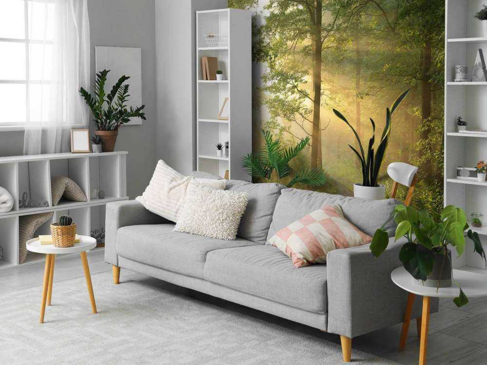 Mistige bosweg bij zonsopkomst