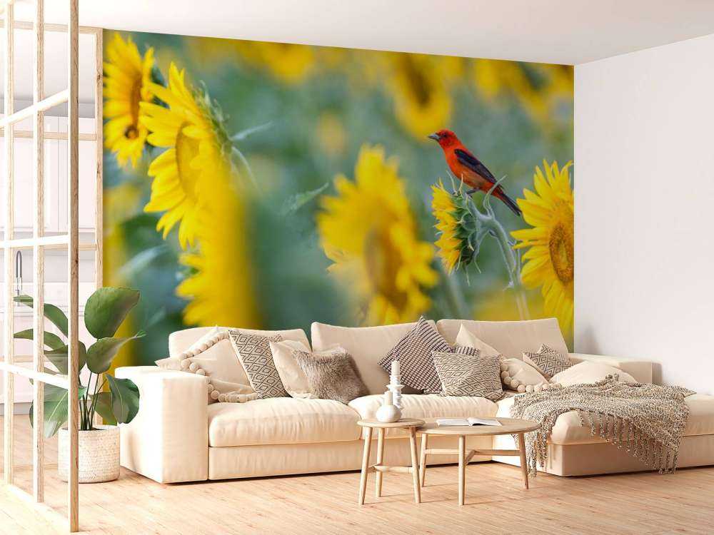 Zonnebloemenveld met rood vogeltje