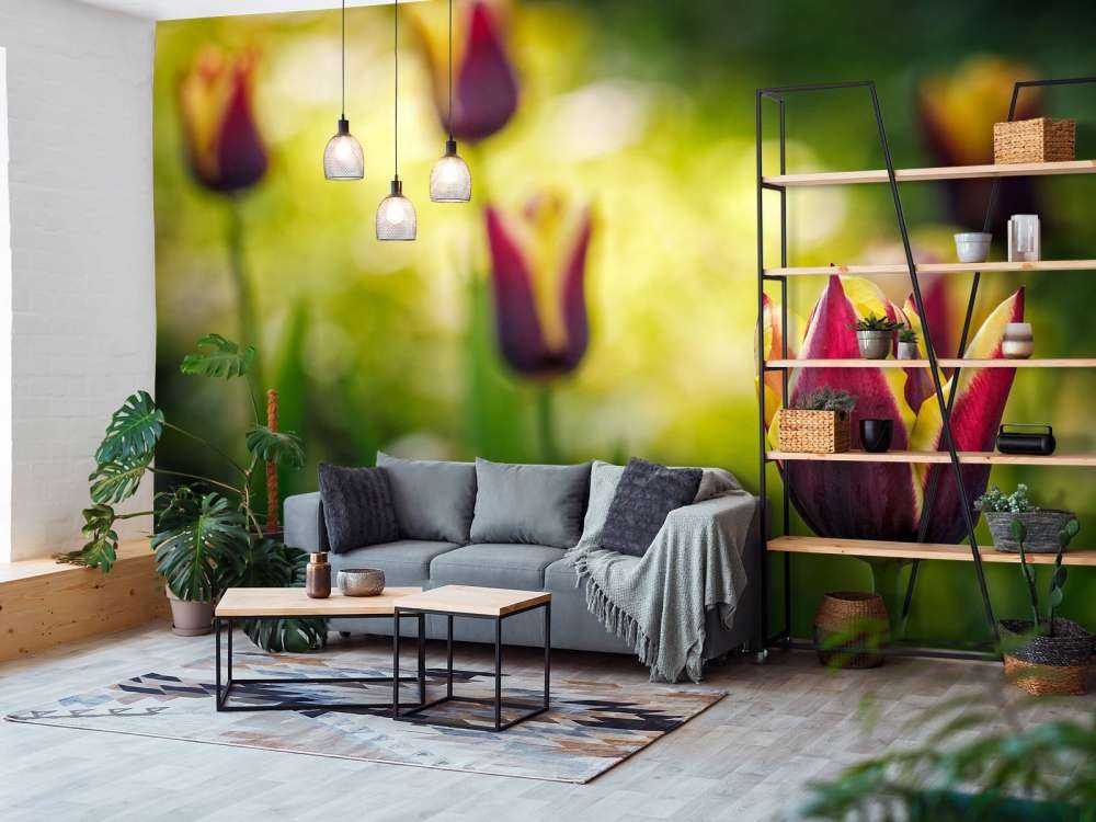 Rood-gele tulpen close-up