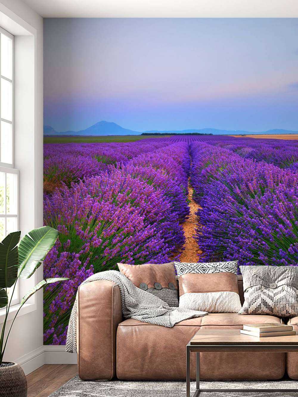 Lavendel landschap met bergen