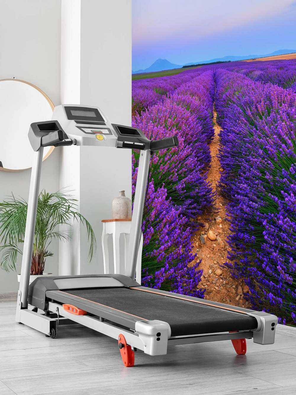 Lavendel landschap met bergen