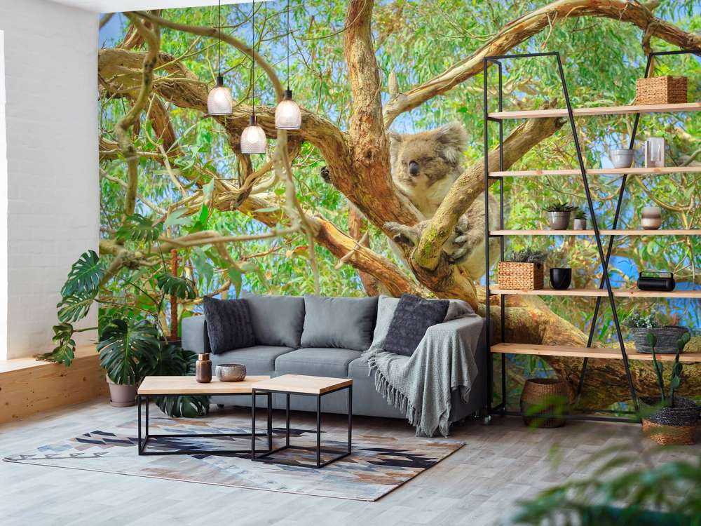 Koala in een Eucalyptus boom