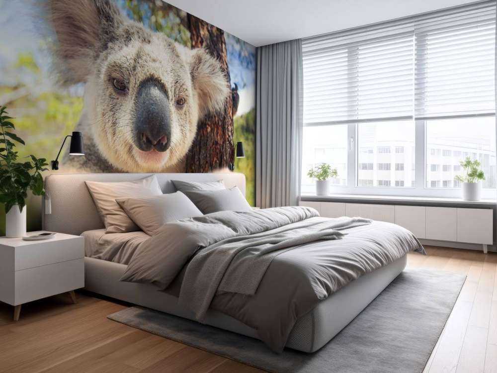 Schattige koala