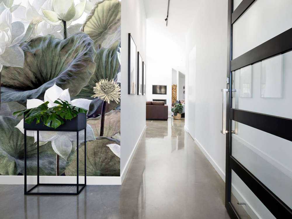 Waterplantjes