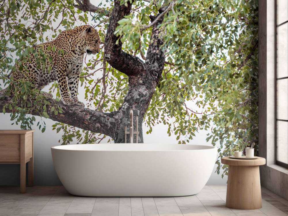 Luipaard in Kruger National Park