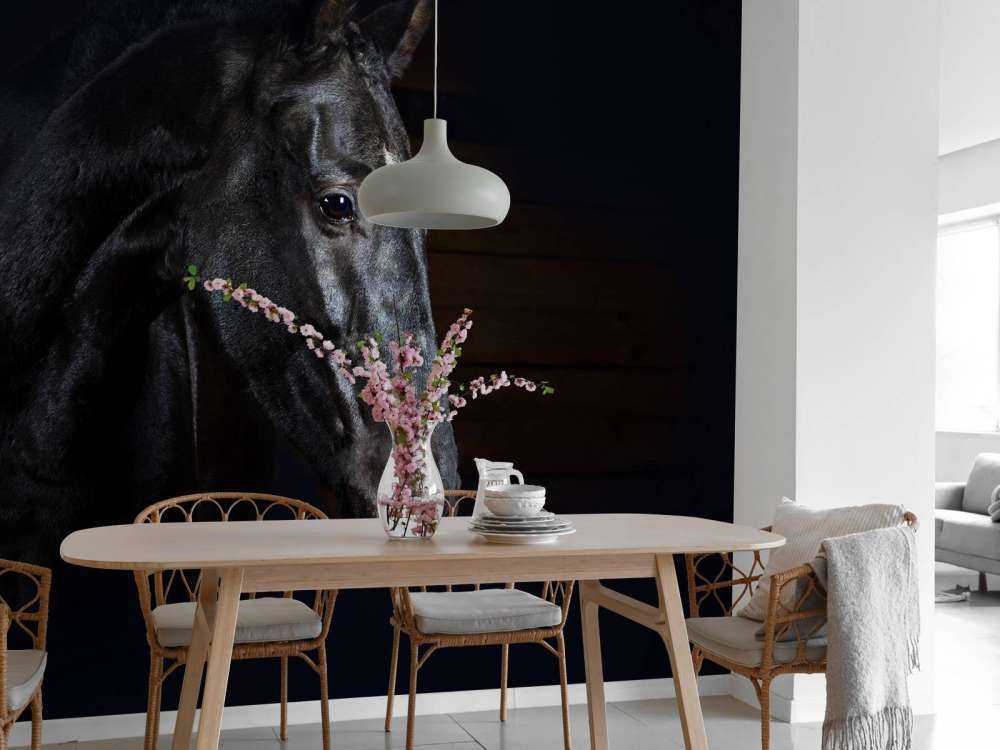 Paard met een donkere achtergrond