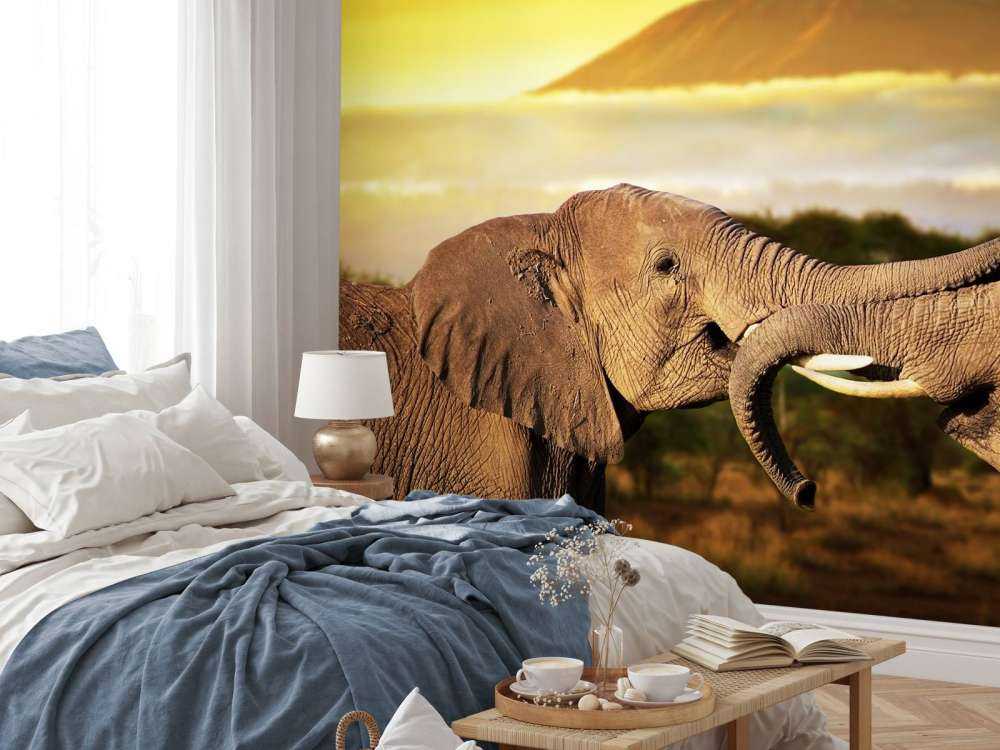 Olifanten spelen bij zonsondergang