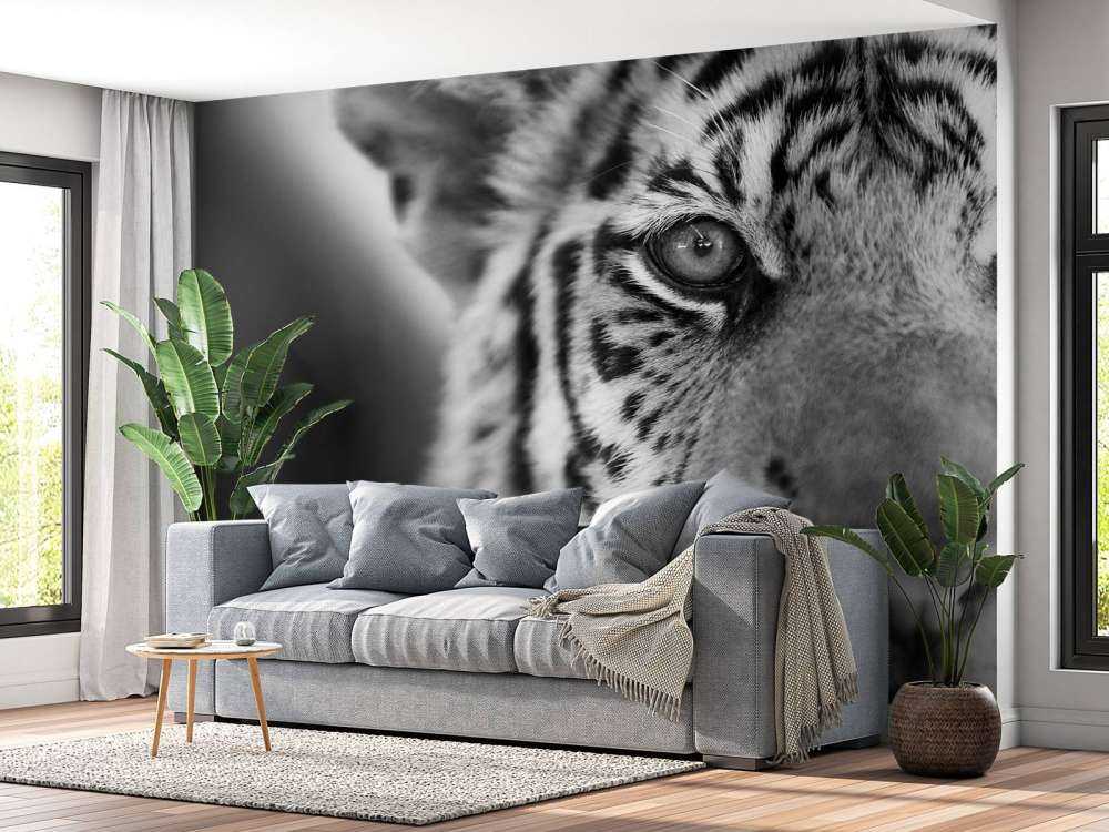 Mooie tijger in zwart-wit