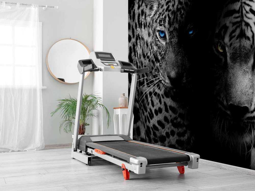 Tijger en luipaard in zwart-wit