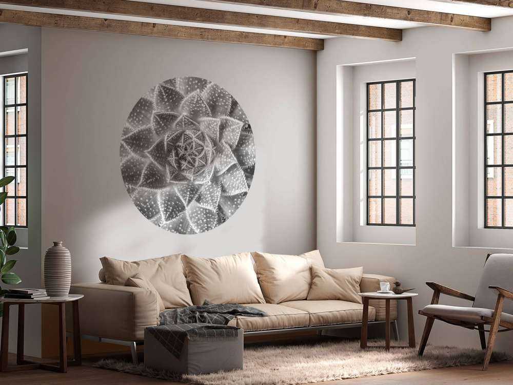 Close-up vetplant in zwart-wit