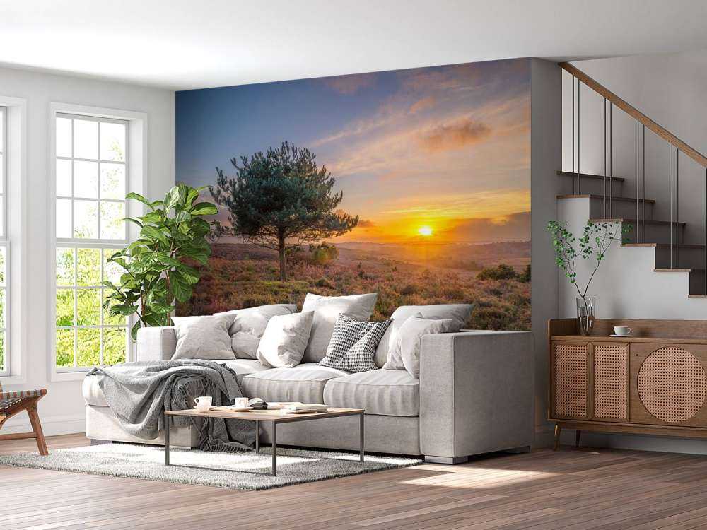 Zonsondergang op de heide