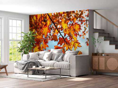 Herfst bladeren