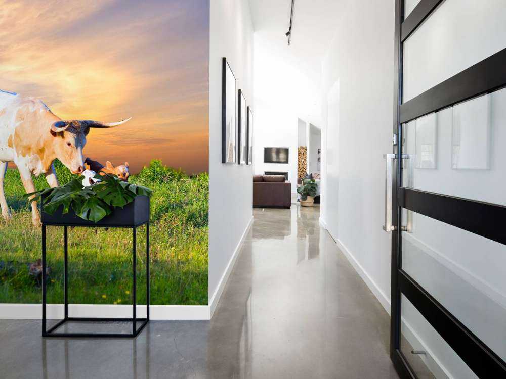 Koe en Kalf zonsondergang