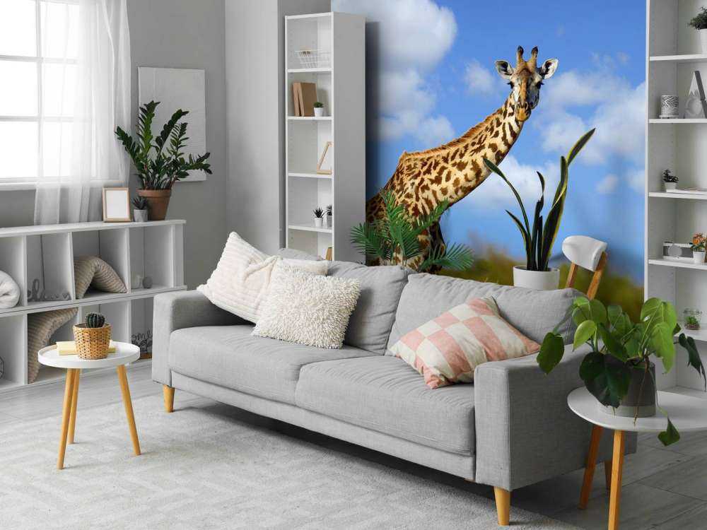 Giraffe met grappige houding