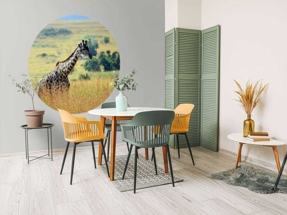 Lichte Giraffe in de natuur