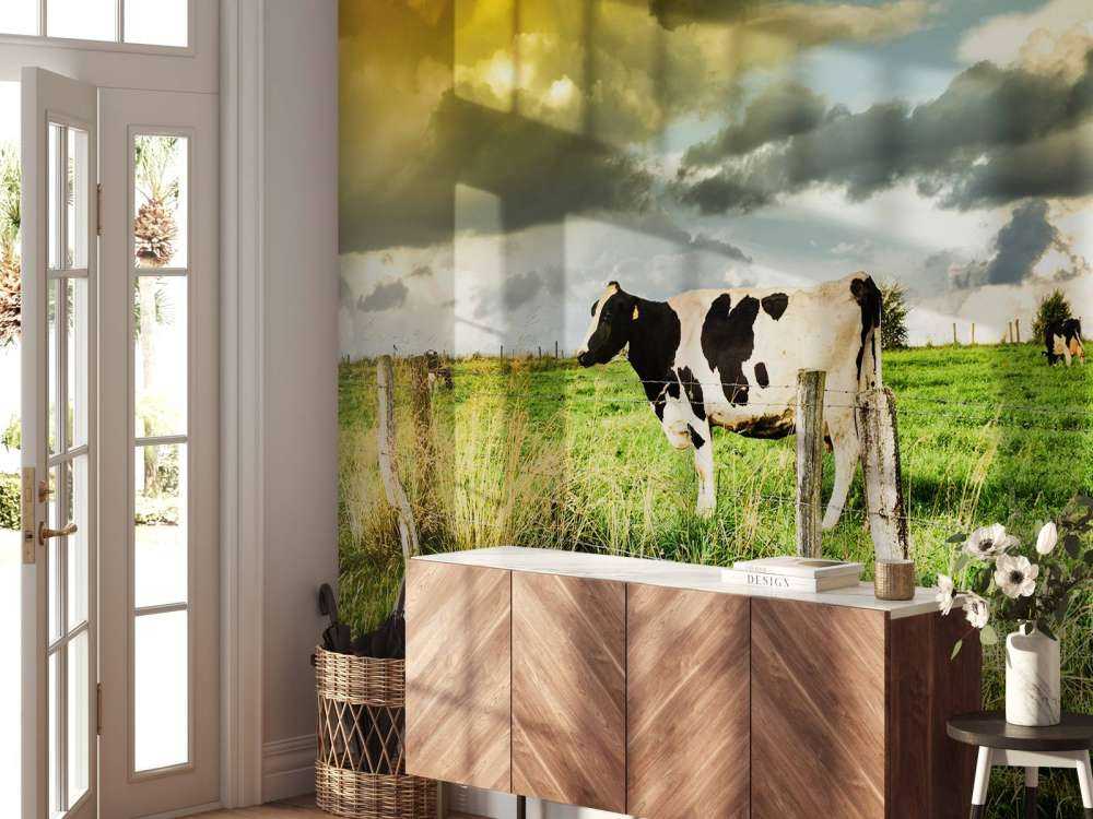 Koe tijdens zonsondergang