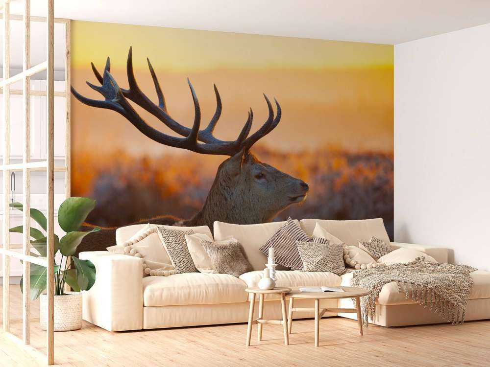 Edelhert met zichtbaar Gewei