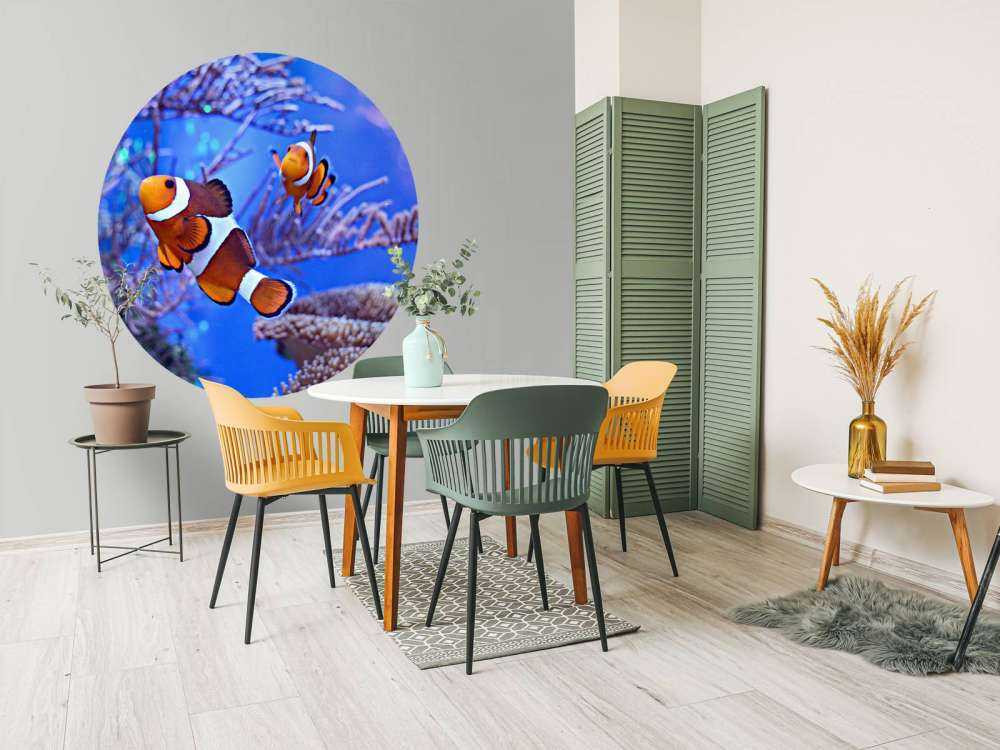 Anemoonvissen in een groot aquarium