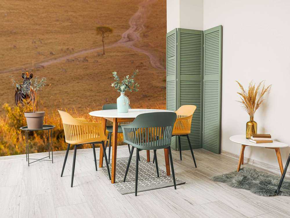 Zebra maakt een wandeling bij zonsondergang