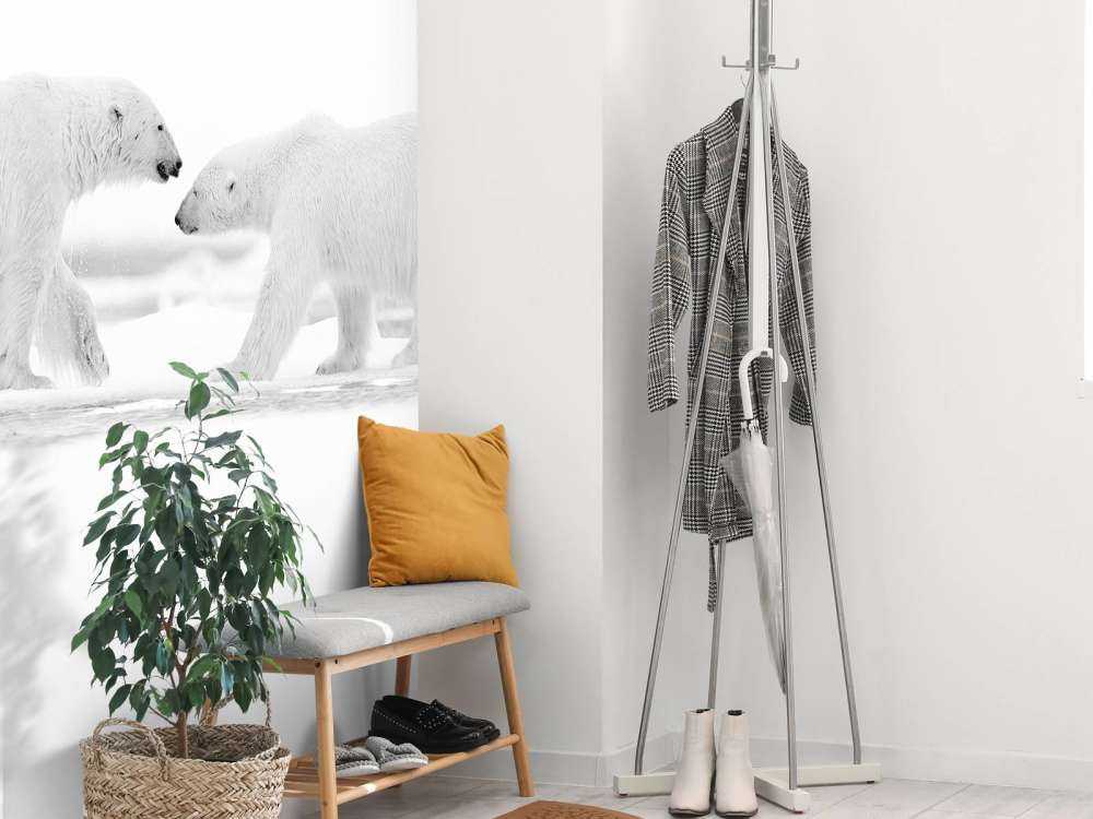 Twee grote ijsberen met een witte achtergrond