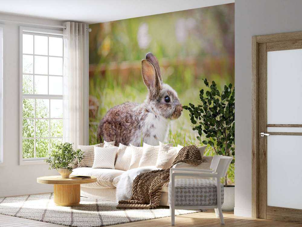 Schattig konijntje in een tuin