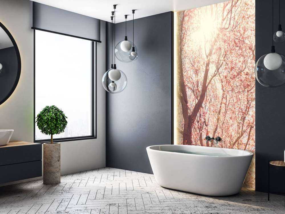 Boom Bloesem met Zon op Achtergrond