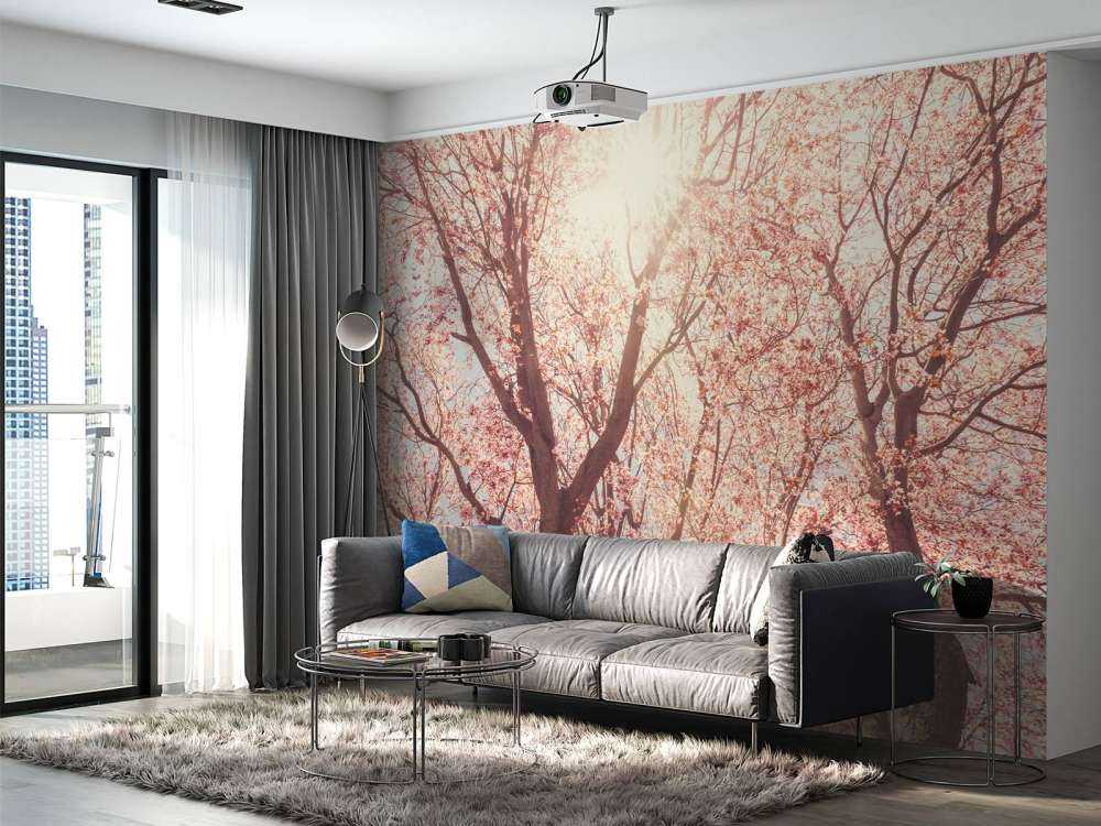 Boom Bloesem met Zon op Achtergrond