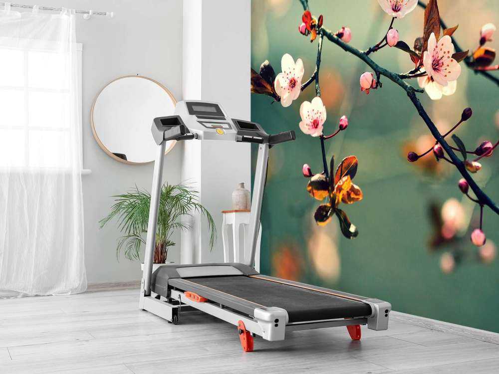 Bloesem in Volle Bloei met Groene Achtergrond