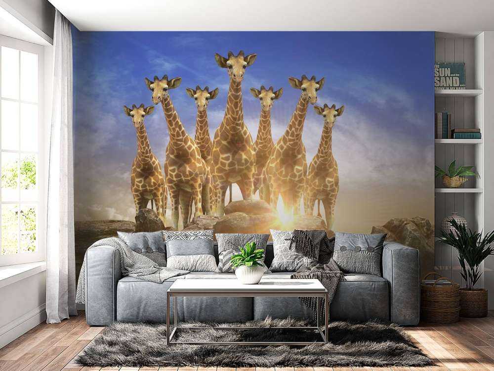 Giraffen bij zonsondergang