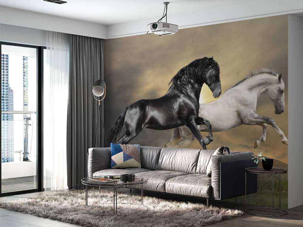 Zwart & Wit Paard op Gras