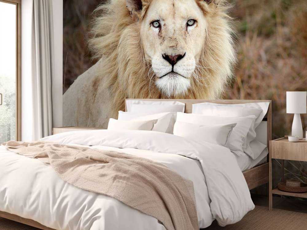 Harige Leeuw in de natuur