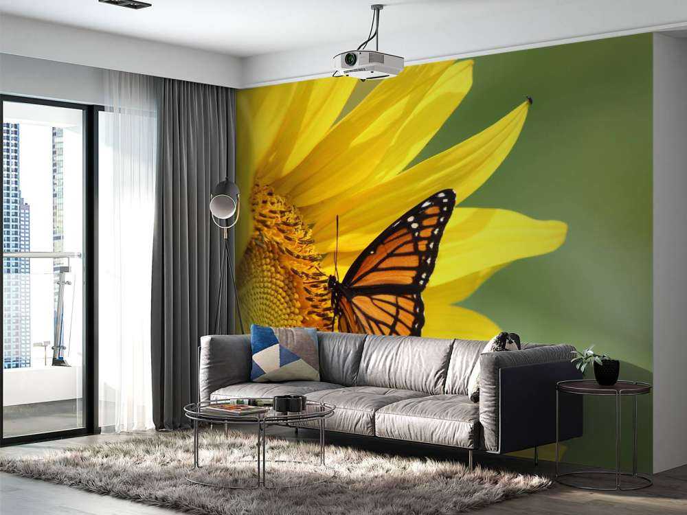 Oranje Vlinder op Zonnebloem