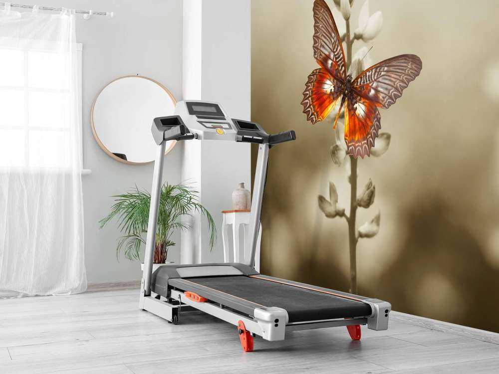 Rode Vlinder met Sepia achtergrond