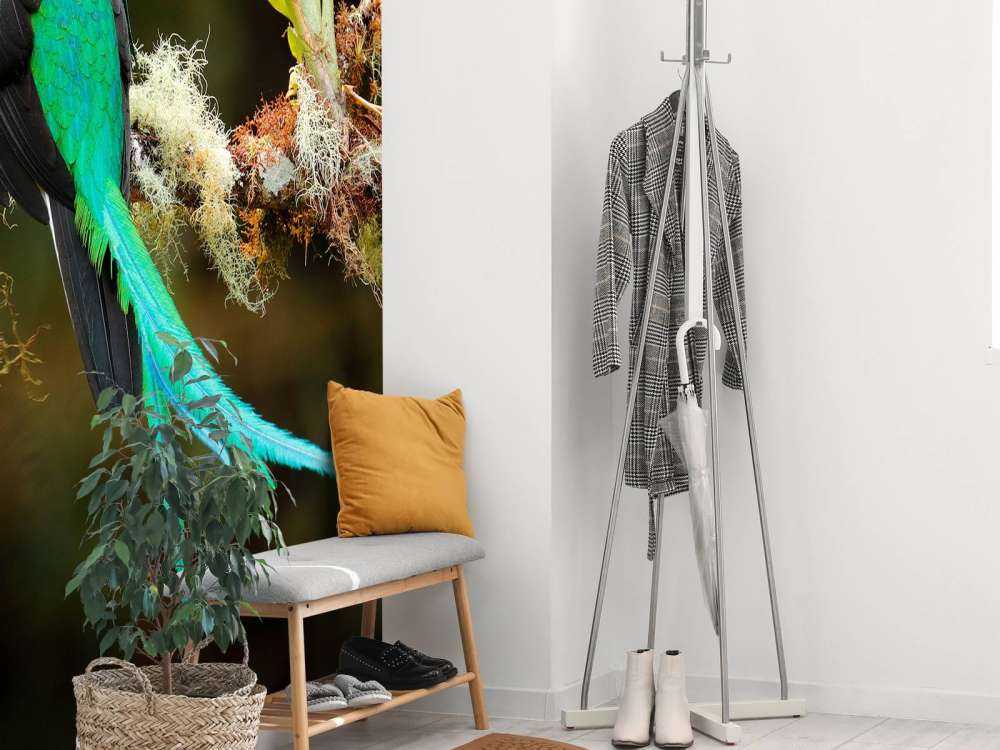 Blauwe Quetzal in Sri Lanka