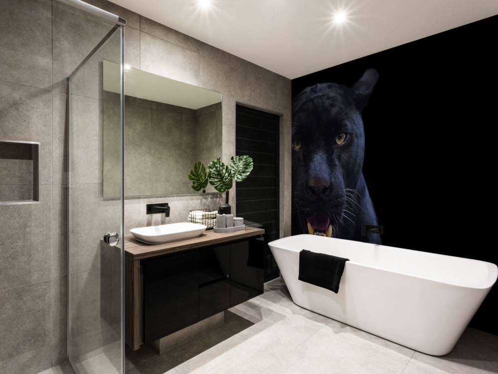 Panter met een zwarte achtergrond