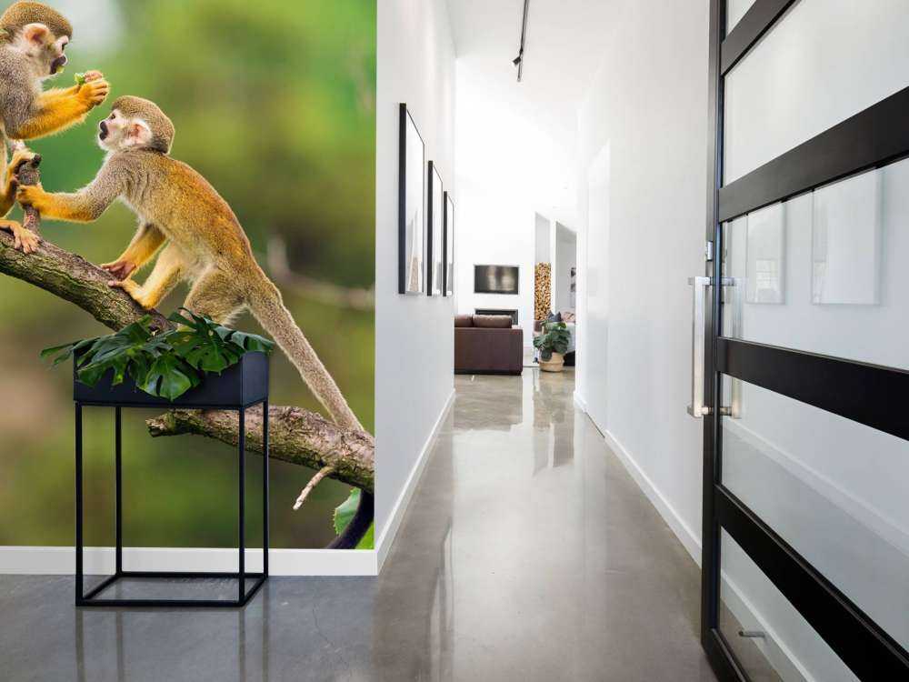 Twee doodshoofdaapjes op een tak