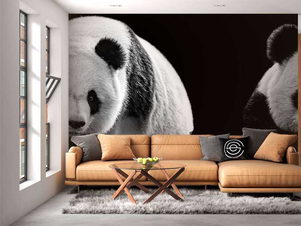 Panda's met een zwarte achtergrond