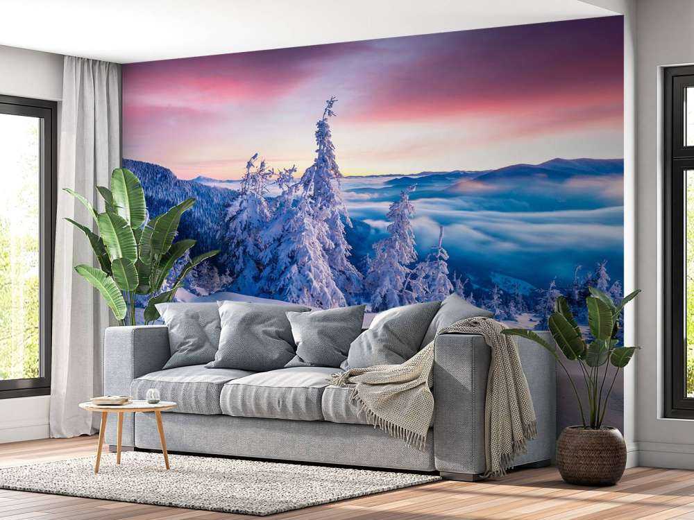 De Karpaten in de winter