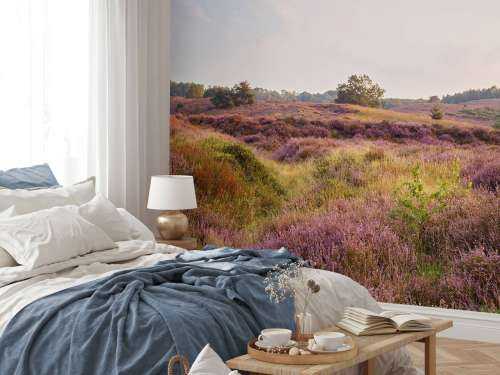 Heide bij zonsopgang