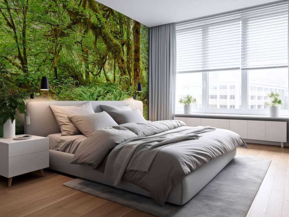 Varens in een oud bos