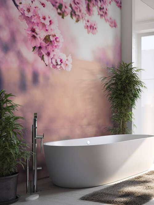 Paarse Japanse bloesems