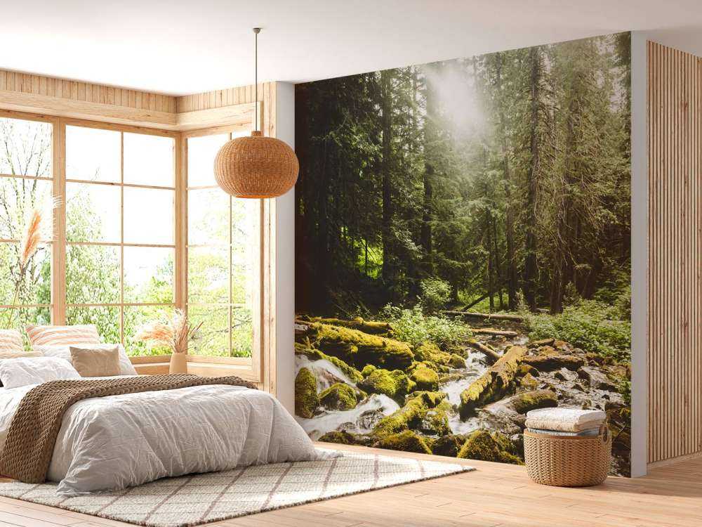 Waterval in een bos 