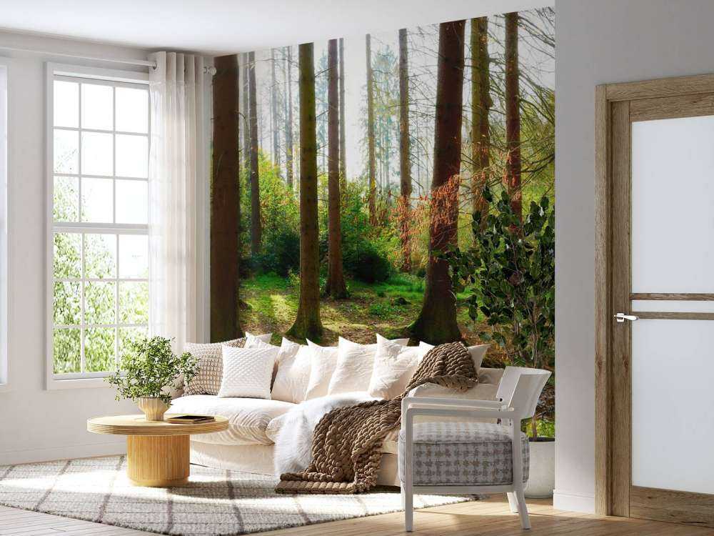 Herfstbos met helder zonlicht